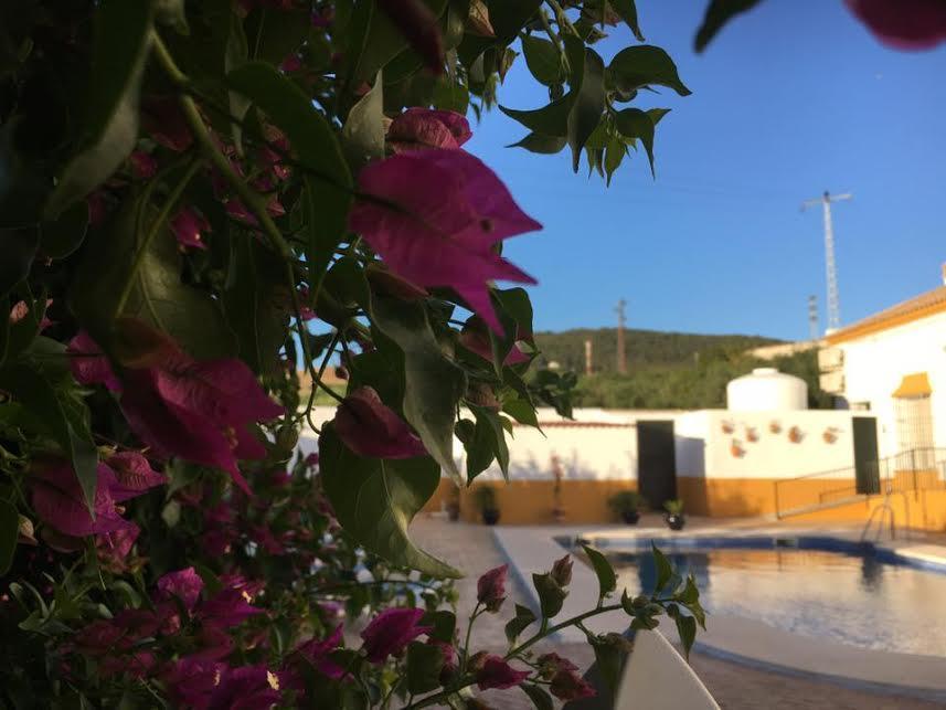 Hotel Andalou Montellano Bagian luar foto