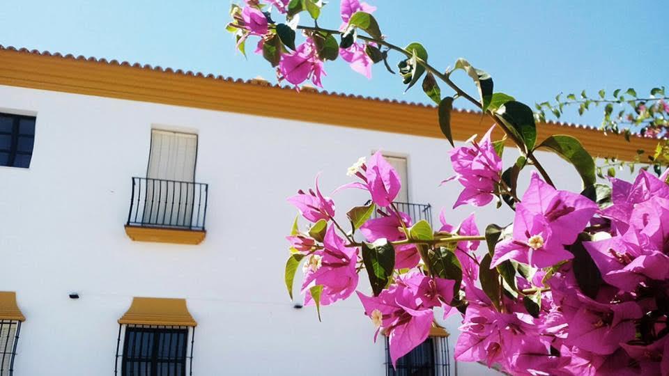 Hotel Andalou Montellano Bagian luar foto