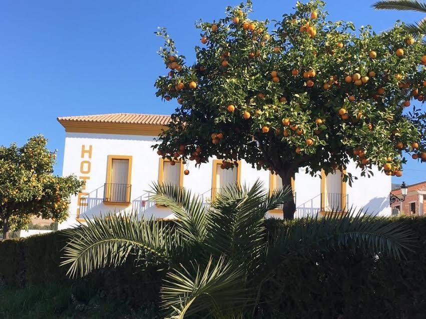 Hotel Andalou Montellano Bagian luar foto